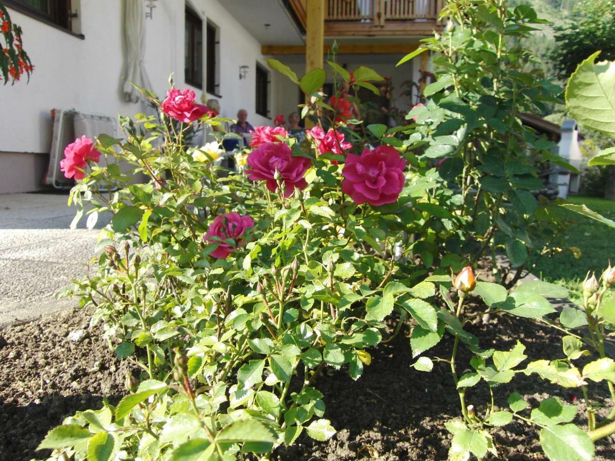 ביחלבאך Appartements Wacker מראה חיצוני תמונה